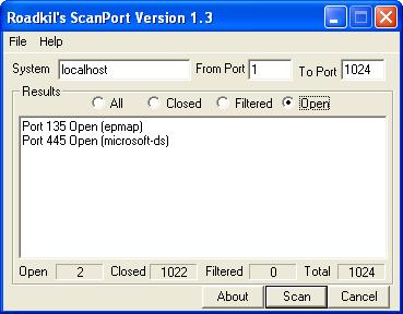 Roadkil's Scan Port Screenshot
